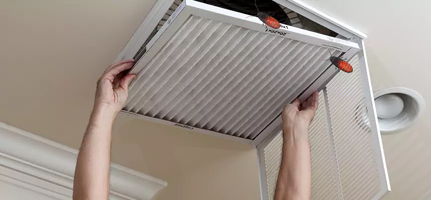 Preventive Cockroach-Proofing for Ducts in Compton
