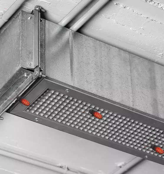 Affordable Insect Removal from Air Ducts in Compton, CA