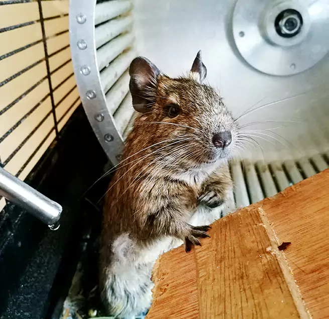 Why Homeowners & Businesses Trust Us Compton, CA?