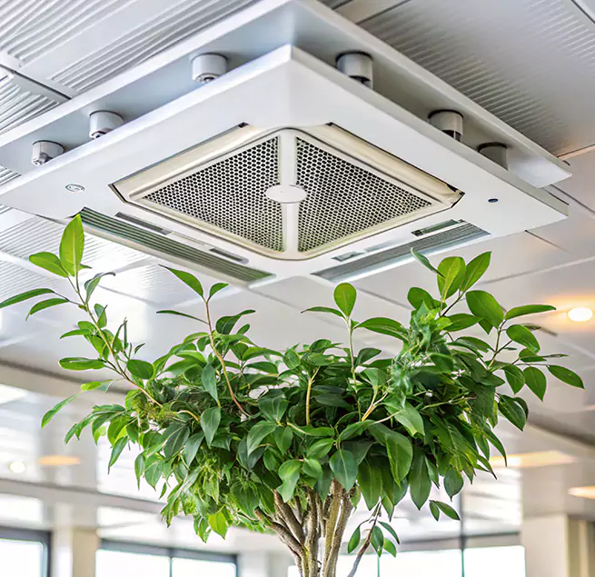 Why Homeowners & Businesses Trust Us in Compton, CA